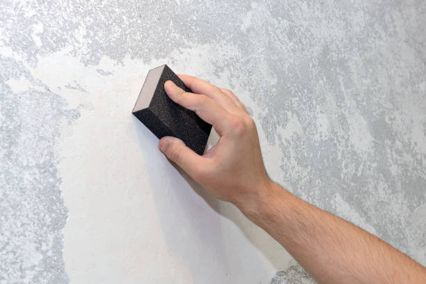 Best Mold Odor Removal Services  in Media, PA